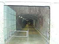 P2250090.JPG (183843 bytes)