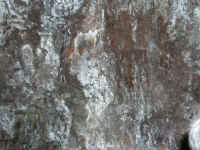 P2250096.JPG (179996 bytes)