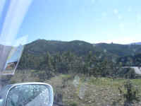 P2110009.JPG (68708 bytes)