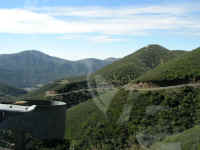 P2110010.JPG (68810 bytes)