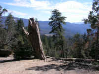 P2110013.JPG (79388 bytes)