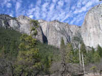 P2110028.JPG (186846 bytes)